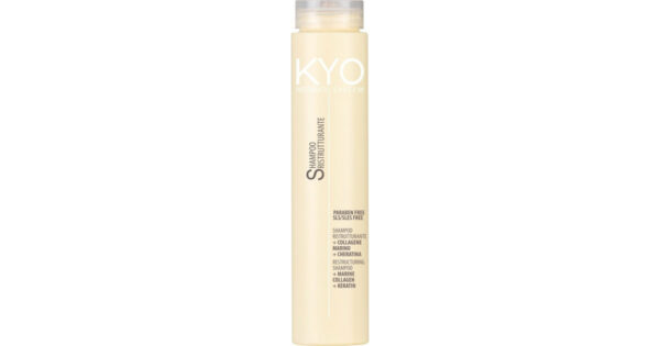 Σαμπουάν Kyo Restruct System Shampoo 250ml